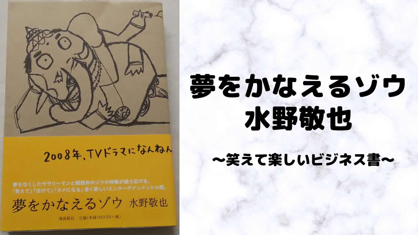 夢をかなえるゾウ本 書評 夢をかなえるゾウ 水野敬也著 笑えて